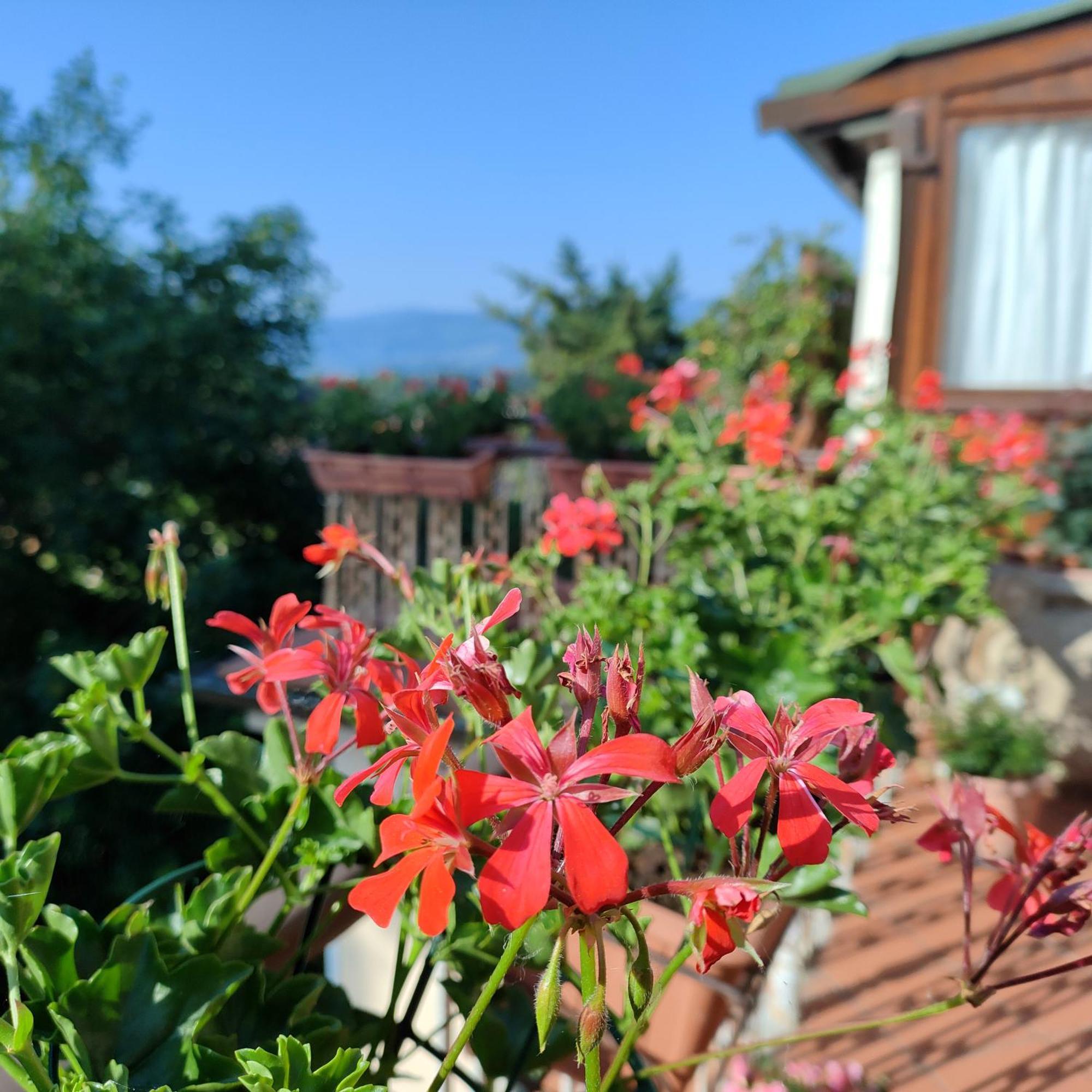 Casa Vacanza In Casentino Bibbiena Kültér fotó